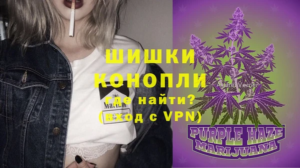 трава Бородино