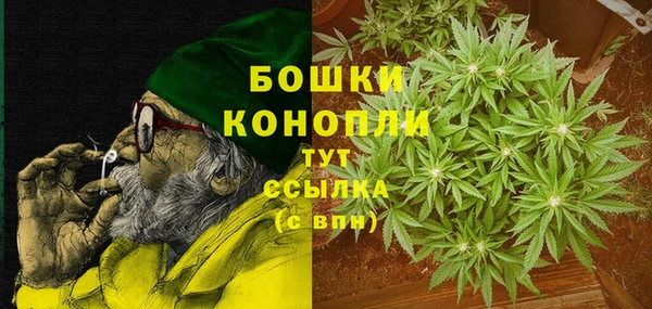 трава Бородино