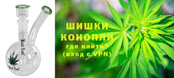 трава Бородино