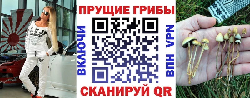Галлюциногенные грибы MAGIC MUSHROOMS  Чишмы 